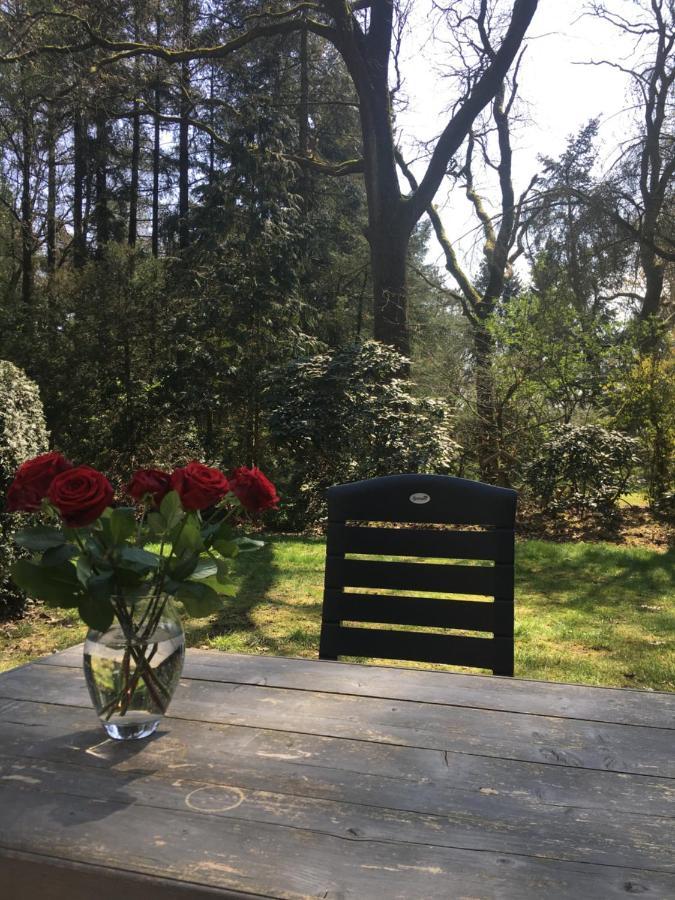 אוטרלו Geschakelde Bungalow Op De Veluwe "De Eekhoorn" מראה חיצוני תמונה