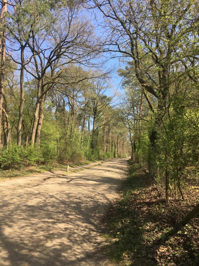 אוטרלו Geschakelde Bungalow Op De Veluwe "De Eekhoorn" מראה חיצוני תמונה