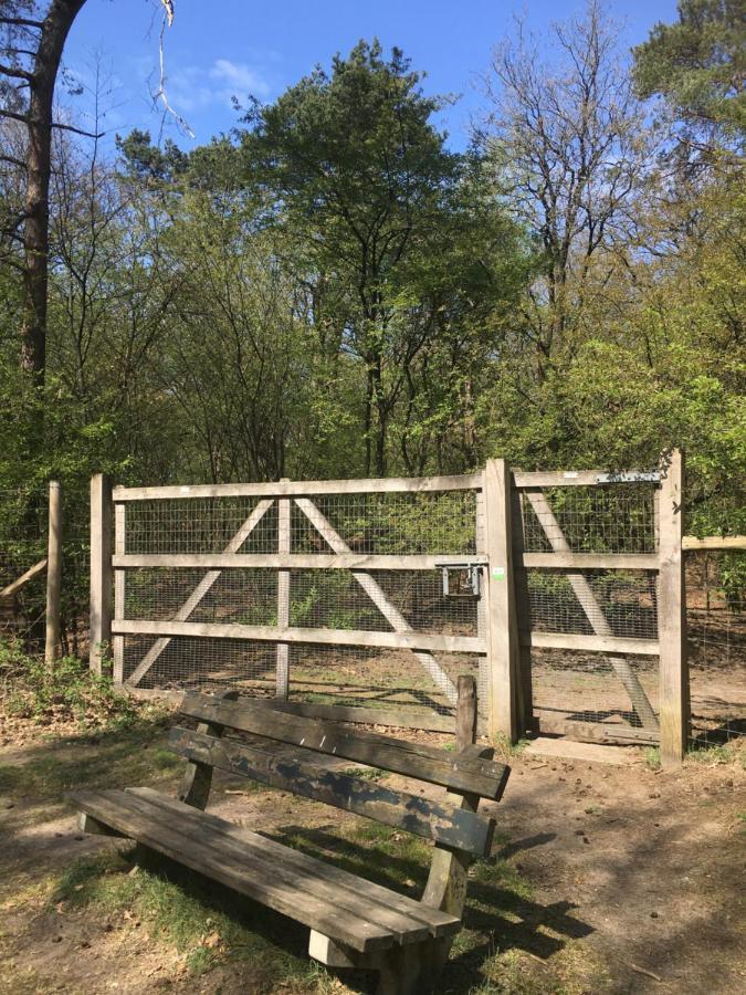 אוטרלו Geschakelde Bungalow Op De Veluwe "De Eekhoorn" מראה חיצוני תמונה